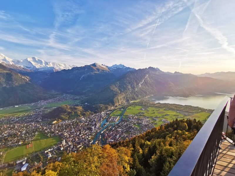 Zurich: Interlaken & Canyon Swing from Grindelwald day trip - Pricing and Overall Value