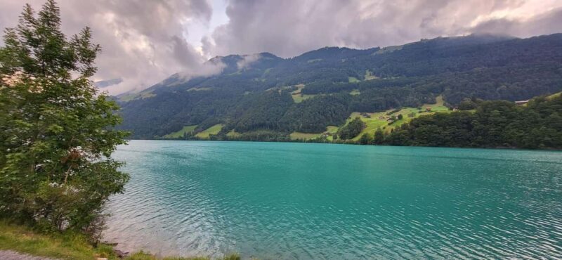 Zurich: Lungern, Brienz, Thun, Blausee, & Oeschinen Day Trip - Who Would Love This Tour?