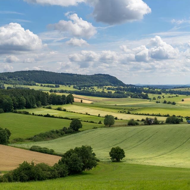 Zurich Private tour to Liechtenstein and Heidiland - FAQ