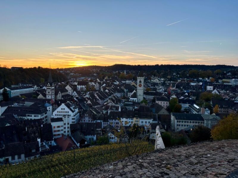 Zurich: Stein Am Rhein, Schaffhausen, & Rhine River Cruise - Deep Dive into the Itinerary