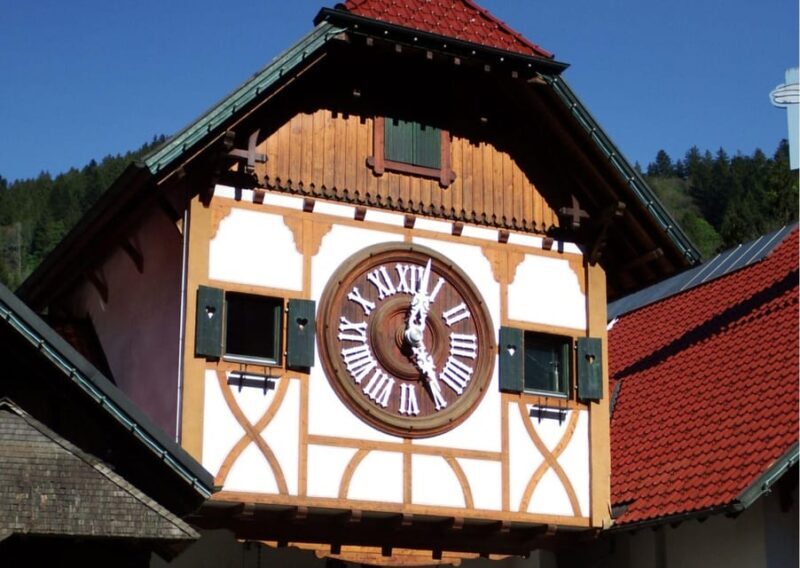 Zürich:Private Car Tour- Rhine Falls, Titisee & Black Forest - FAQs