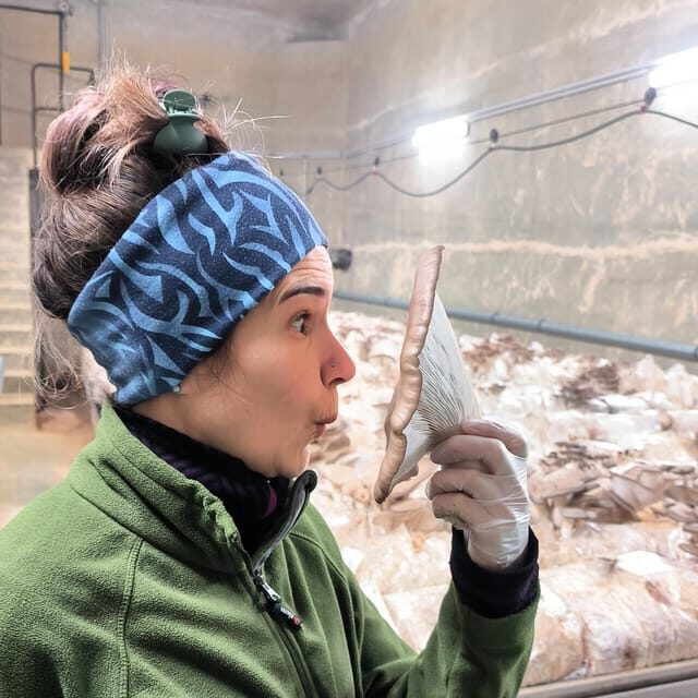 Zurich's best-kept secret: the hidden world of mushrooms! - FAQ